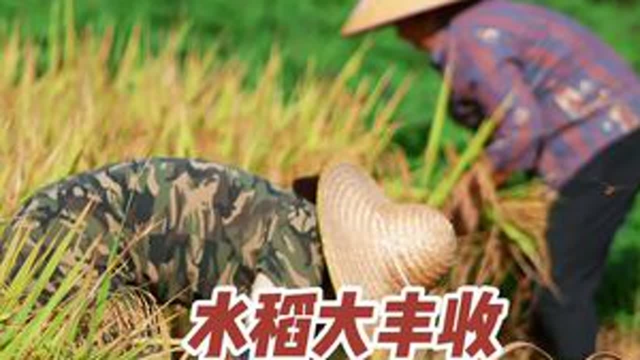 #我的乡村生活