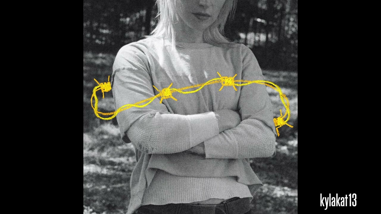 Hayley Williams - Hard - Near Perfect Instrumental