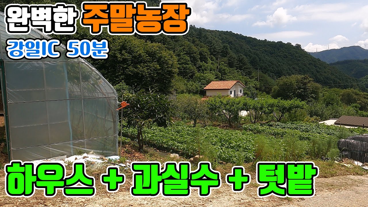 [꿈의주말농장 278] 비닐하우스 + 과실수 + 텃밭 + 농막 완벽 그 자체 주말농장 매매 대지 220평