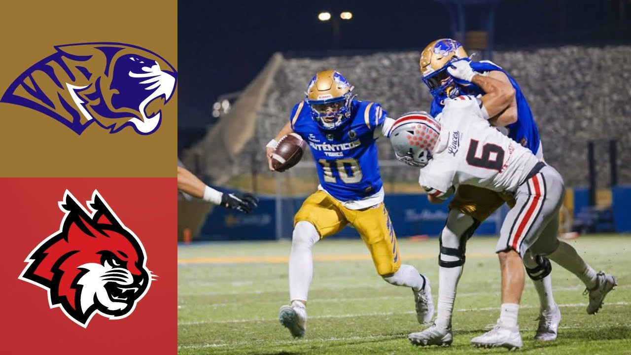 Aut&eacute;nticos Tigres vs Linces UVM (Highlights) | Cuartos de final Liga Mayor 2025 ONEFA