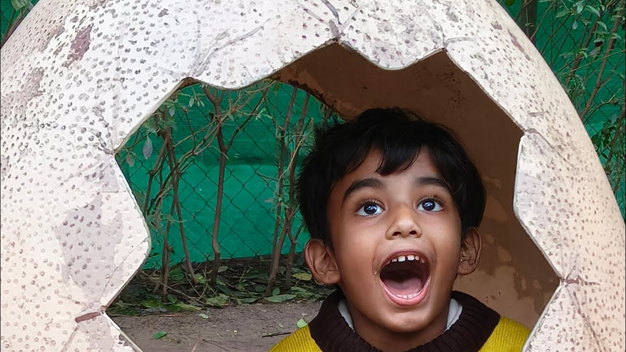 Dino world Chhatbir Zoo chandigarh Park || Full details Entry ticket 🎫 price timeing chandigarh zoo 