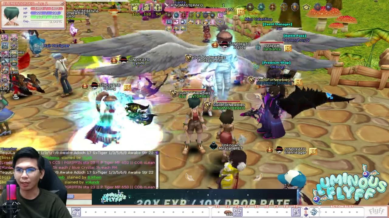 Luminous Flyff - Newbie Elementor I (Full Live Guide)