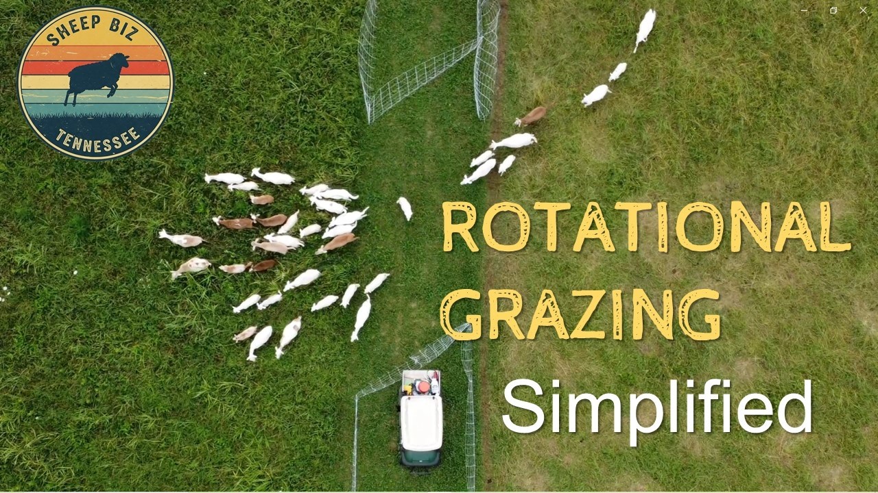 Can Rotational Grazing Make Farms More Profitable?