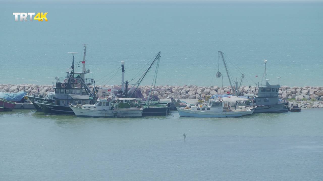 YAZ GUNESI DIDIM AYVALIK