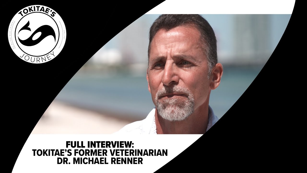 Tokitae's Journey: Interview with Tokitae's former veterinarian, Dr. Michael Renner