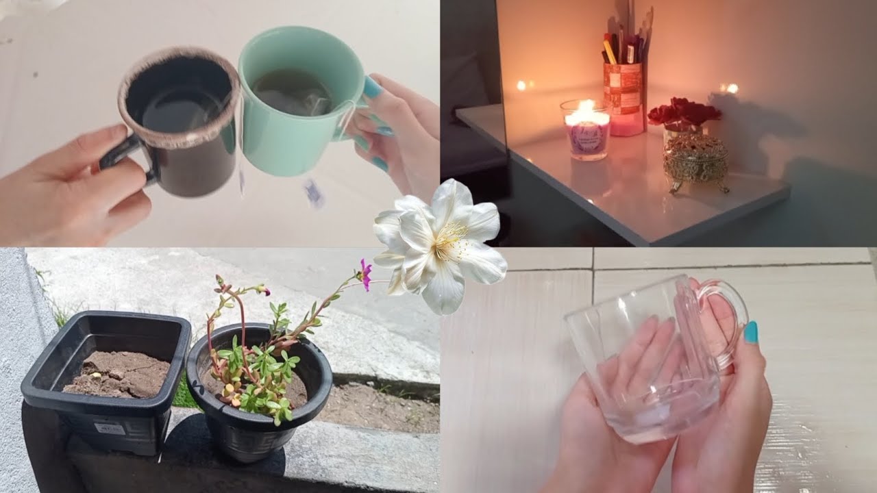 MOSTRANDO AS PLANTINHAS DA MINHA MÃE + COMPREI UM XICARA! 
