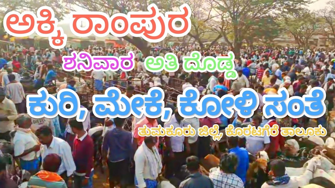 ಅಕ್ಕಿರಾಂಪುರ ಕುರಿ, ಮೇಕೆ, ಕೋಳಿ ಸಂತೆ | the biggest Akkirampura sheep and goat, hen market. 🐐🐏🐓🐑. 