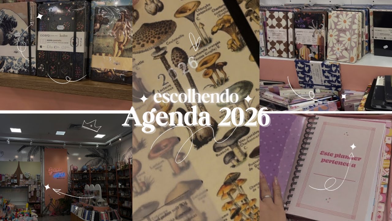 COMPRANDO AGENDA NOVA NA LIVRARIA