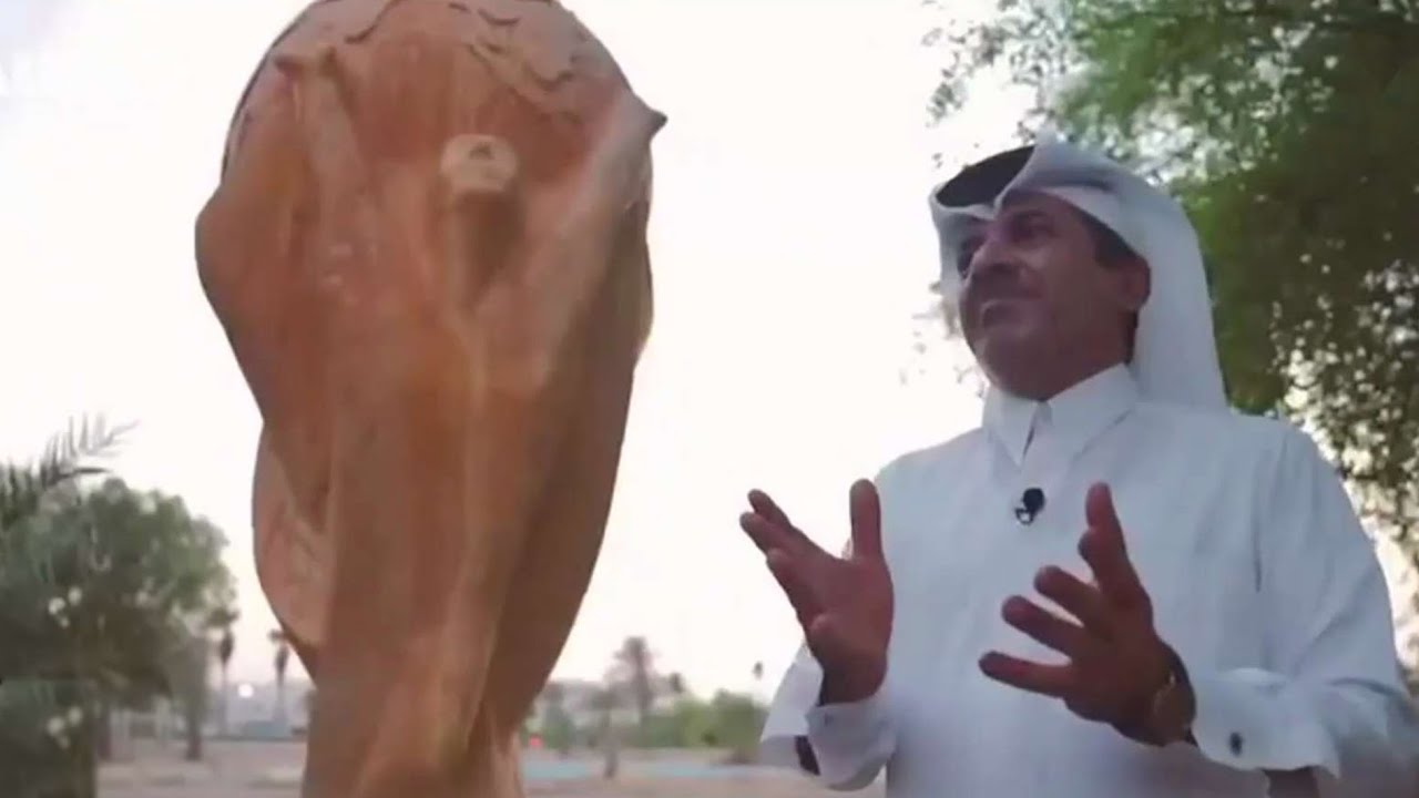 השייח' הקטארי מתכונן למונדיאל - עם מסר לתיירים הישראלים