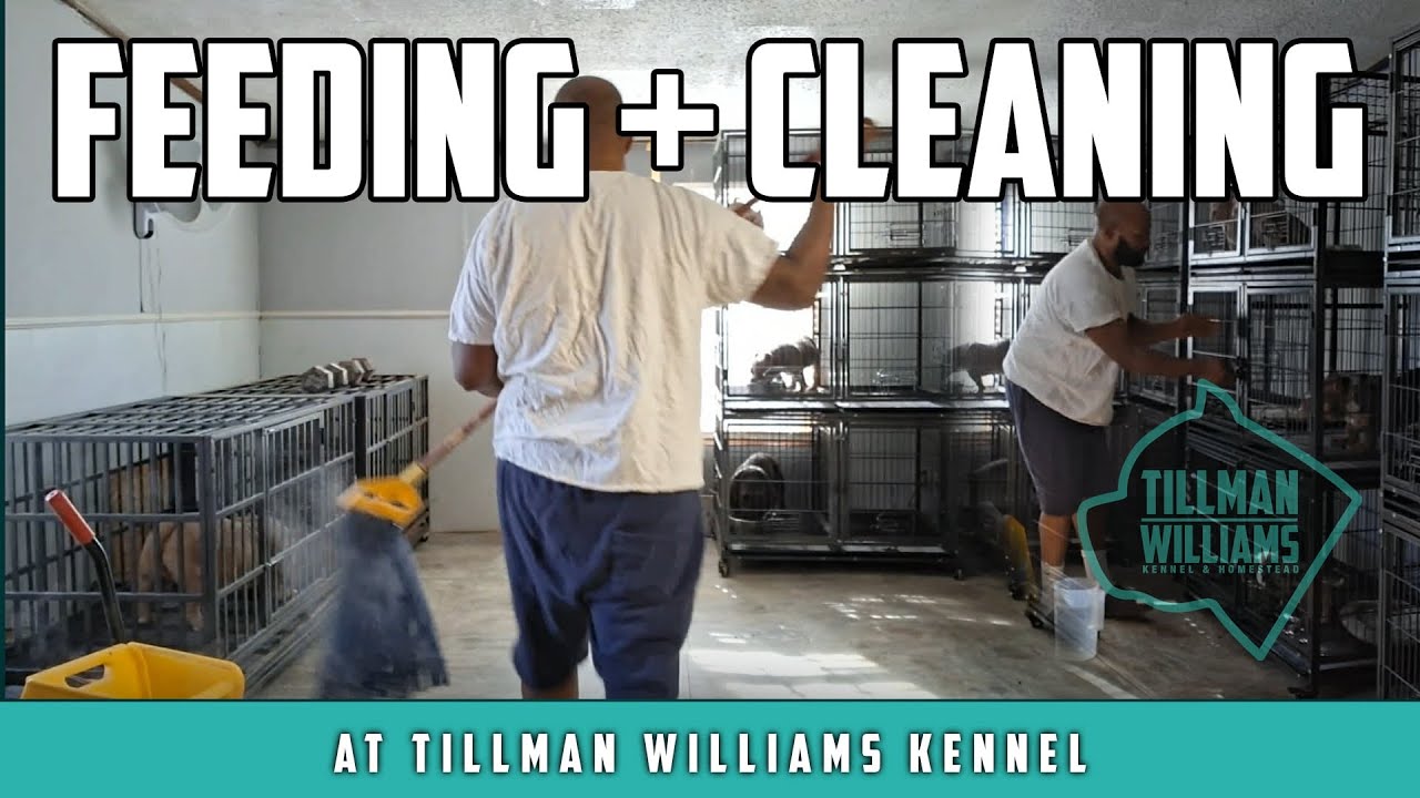 🐾 Feeding Time + Clean Kennel Reset! 🧼
