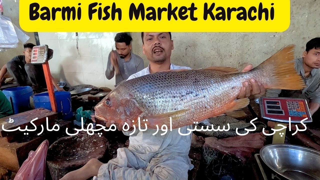 Karachi ke Sasti or Taza machli Market | Barmi Colony Fish Market K-Area Landhi