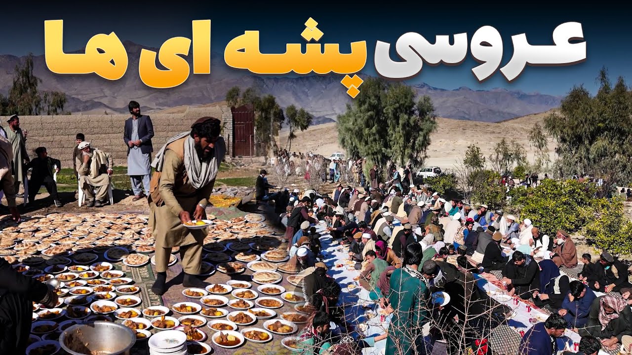 افغان سین - مراسم باشکوه عروسی پشه ها در ولایت لغمان با اشتراک 2500 مهمان