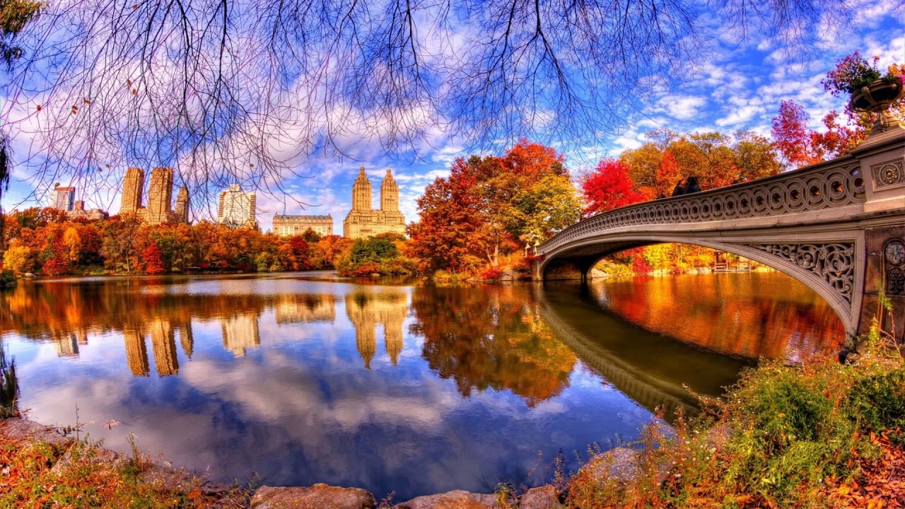 Autumn water reflections (HD1080p)