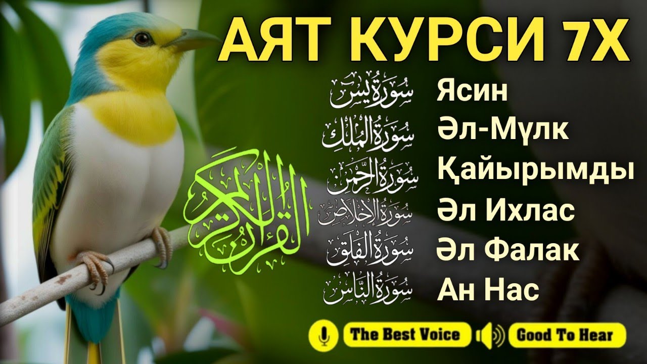 Ризық туралы алғашқы аяттар | Арш аяты, Әл-Мүлк, Ясин, Ар Рахман, Әл Ихлас, Әннас, Әл Фәлақ
