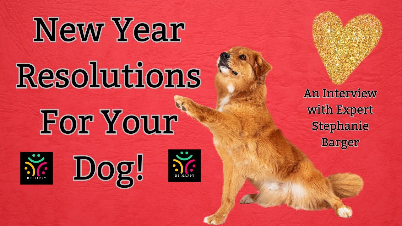 Why Your Dog Needs Resolutions Too!