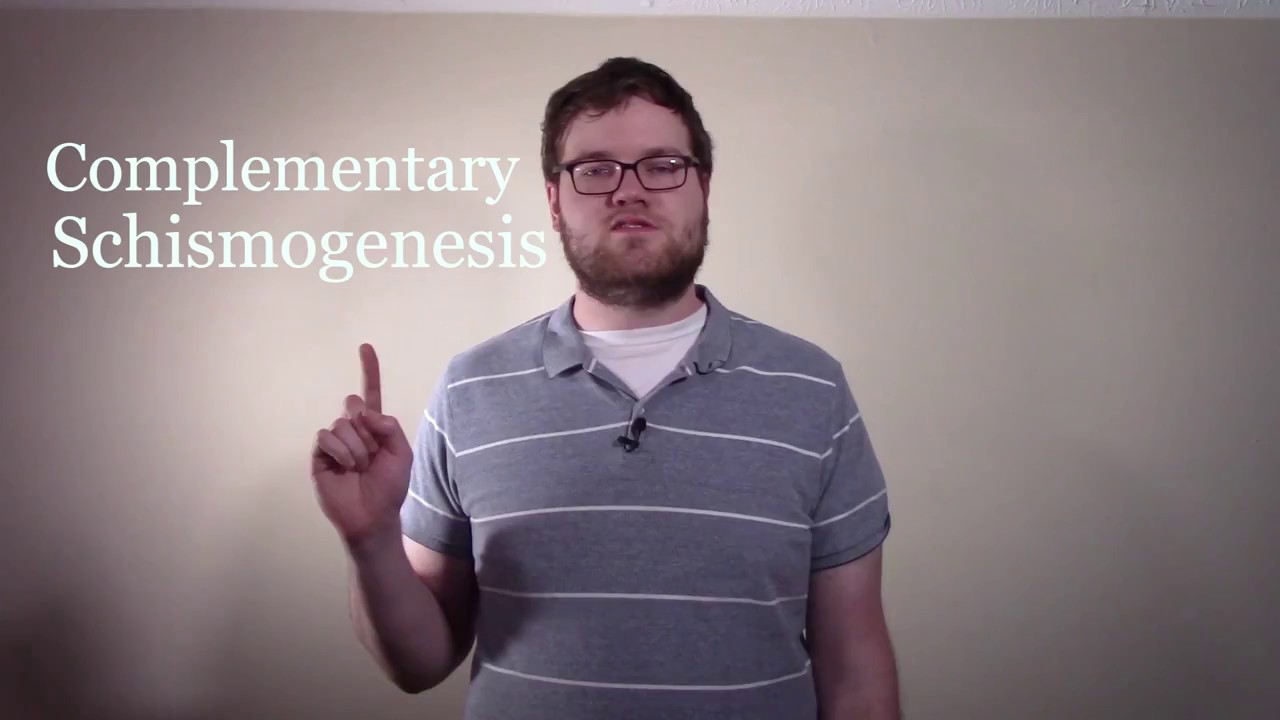 What is Complementary Schismogenesis?