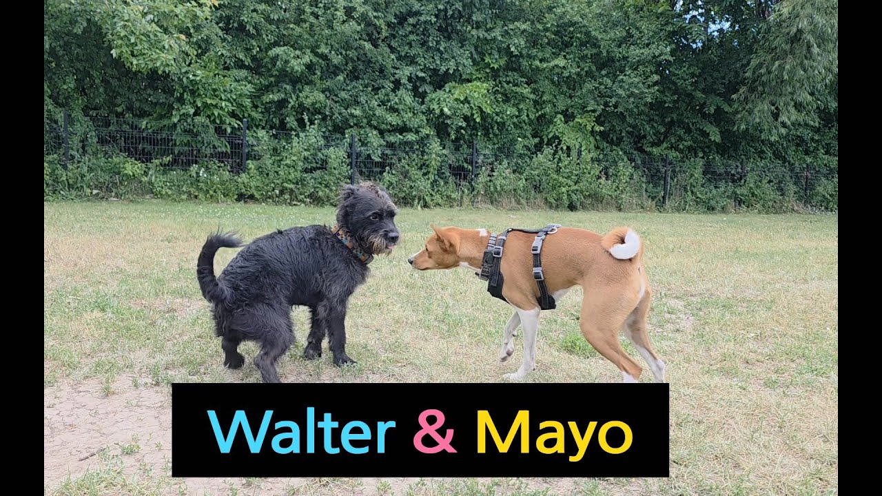Walter & Mayo June 2025