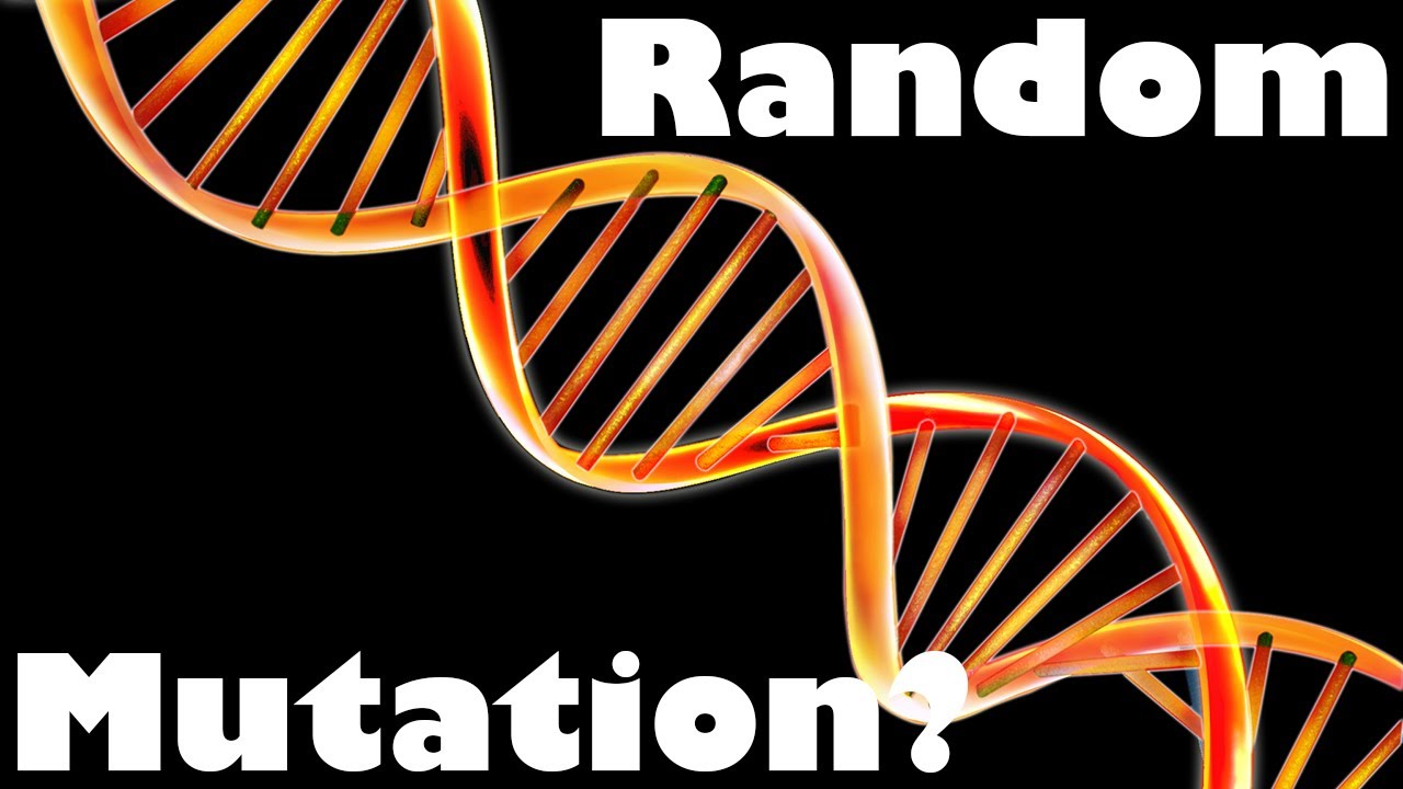 Are Mutations Really Random?
