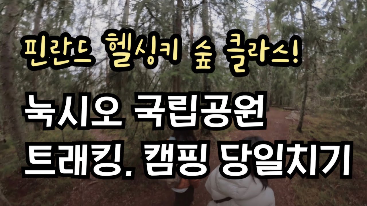 이렇게 조용한 숲 처음이야, 핀란드 헬싱키 근교 찐 자연🌿 눅시오 국립공원 트래킹 & 캠핑🔥