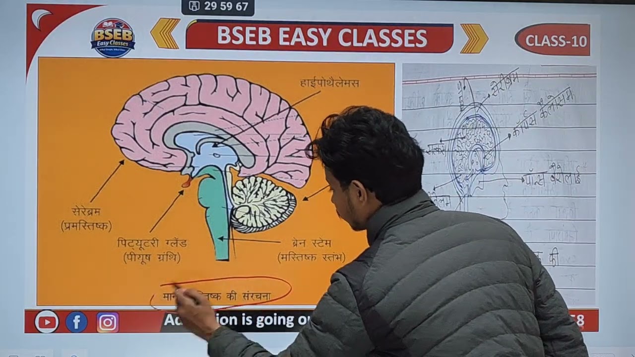 Most Important Diagram Class 10th 
