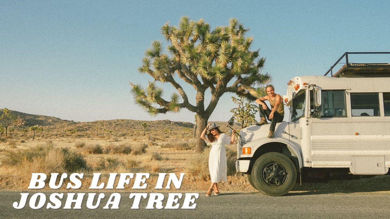 Wild Camping In Joshua Tree / Bus Life Episode 1