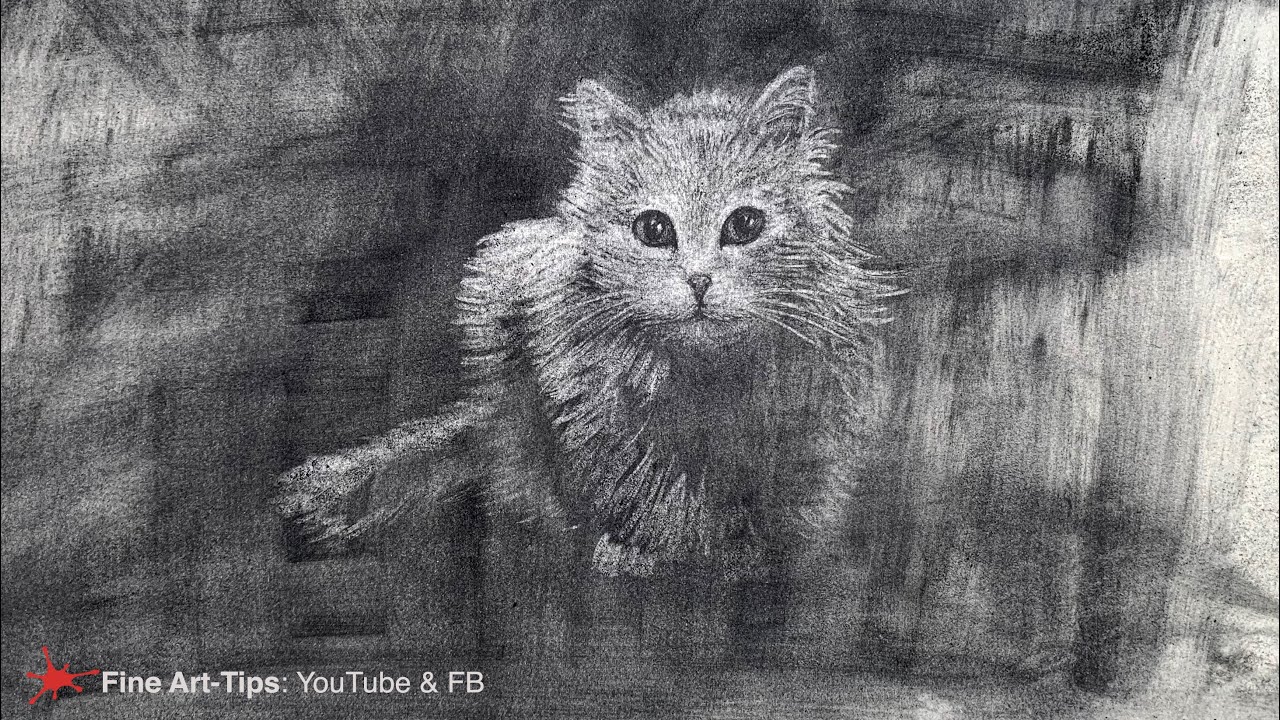 HOW TO DRAW A CAT WITH CHARCOAL POWDER AND AN ERASER - and graphite