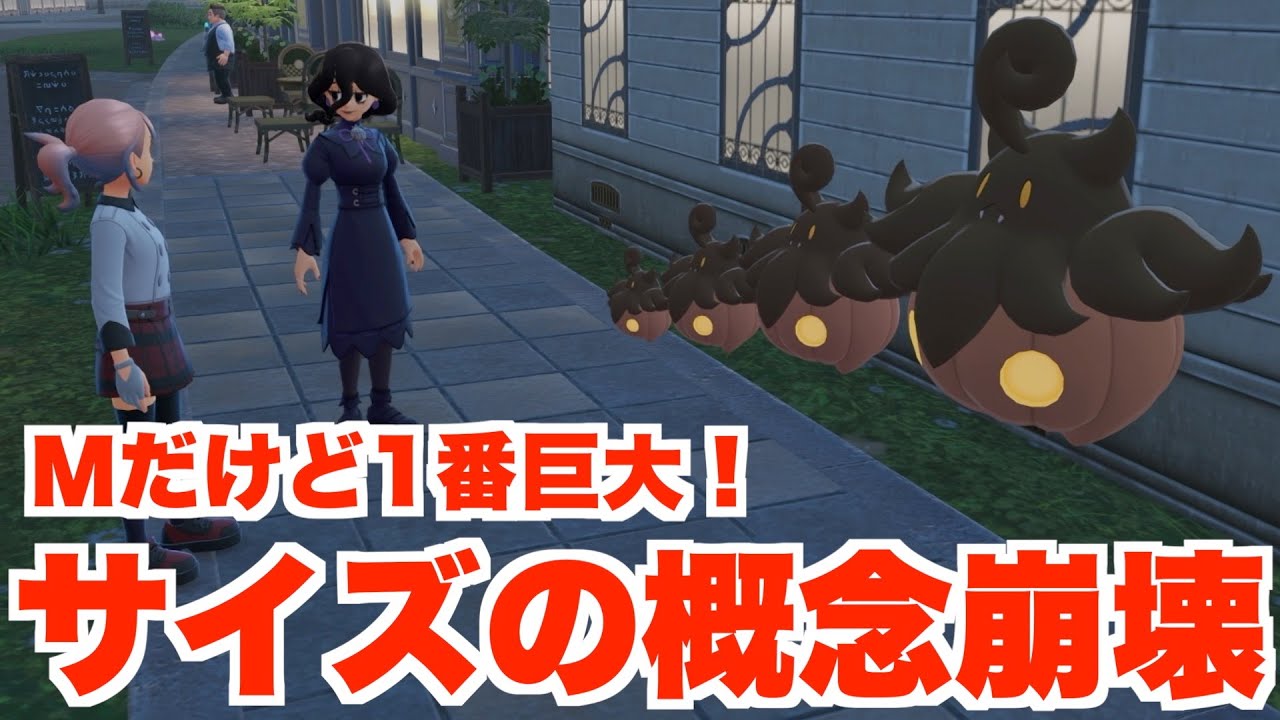 【ポケモンZA 】謎のバケッチャでサイズの概念が崩壊！まさかの色違い回収！【ポケモンレジェンズZA】