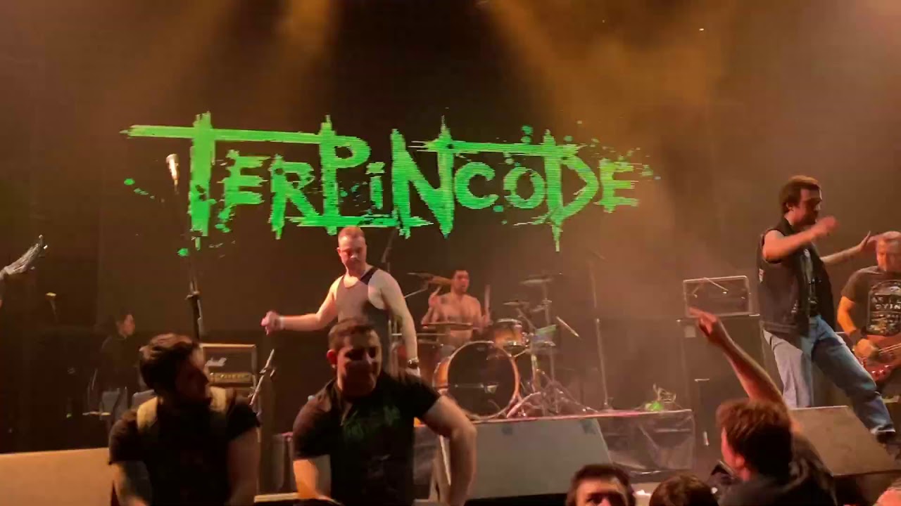 Terpincode - Мы любим своё государство 10.11.2019