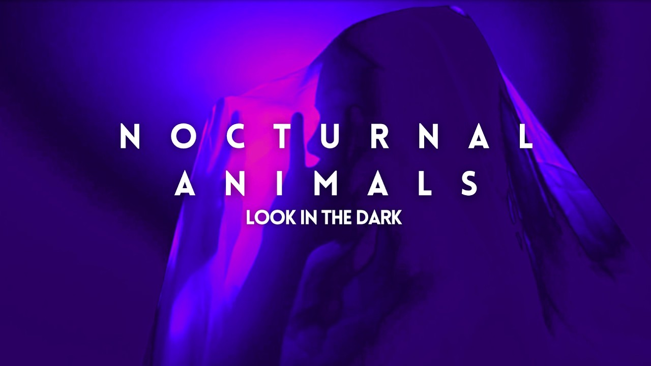 Nocturnal Animals - Look in the Dark