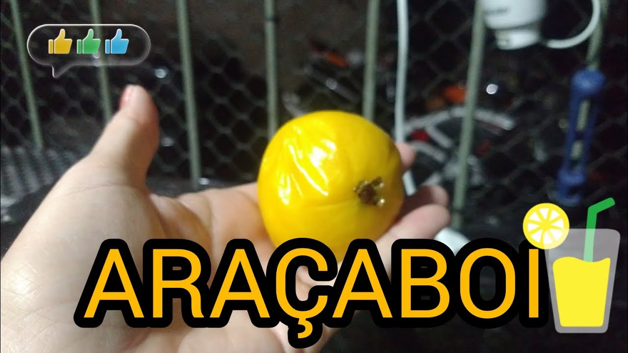 Suco de ARAÇABOI TD de bom 🤩🤩🤩