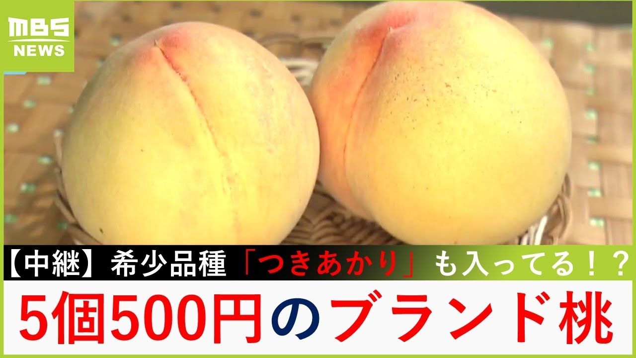 『あら川の桃』が５個５００円！品質は問題ない