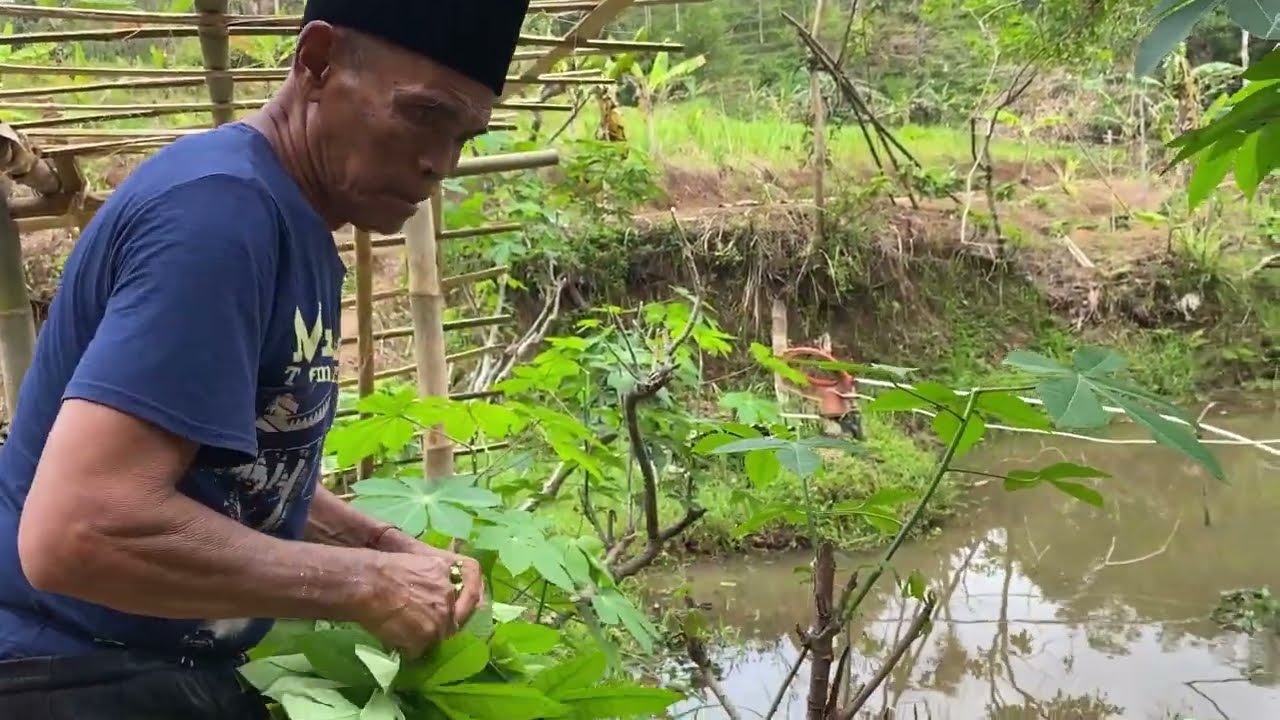 ALHAMDULILLAH PANEN