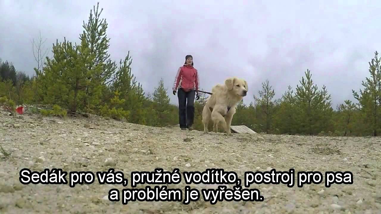 Ne tahání na vodítku 1 část