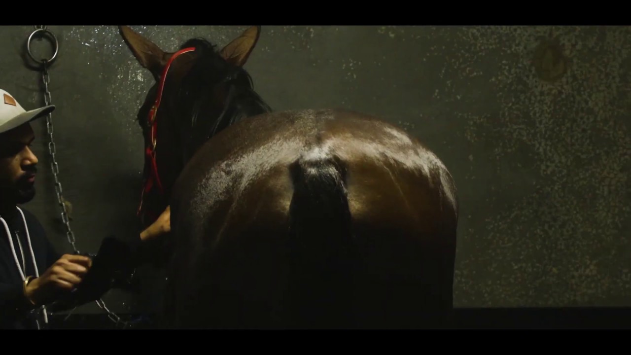 A passion for the thoroughbred | Brisbane Racing Club