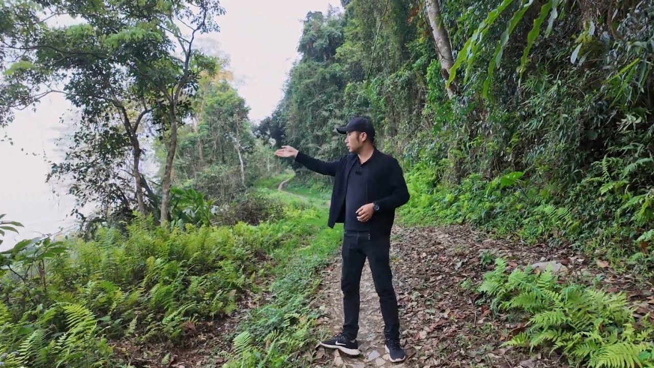 Lang thang từ Ho&agrave;ng L&igrave;n Pả lạc v&agrave;o rừng Nghiến Cổ sang Minh T&acirc;n Hang Đại t&aacute;. Nguyễn Tất Thắng