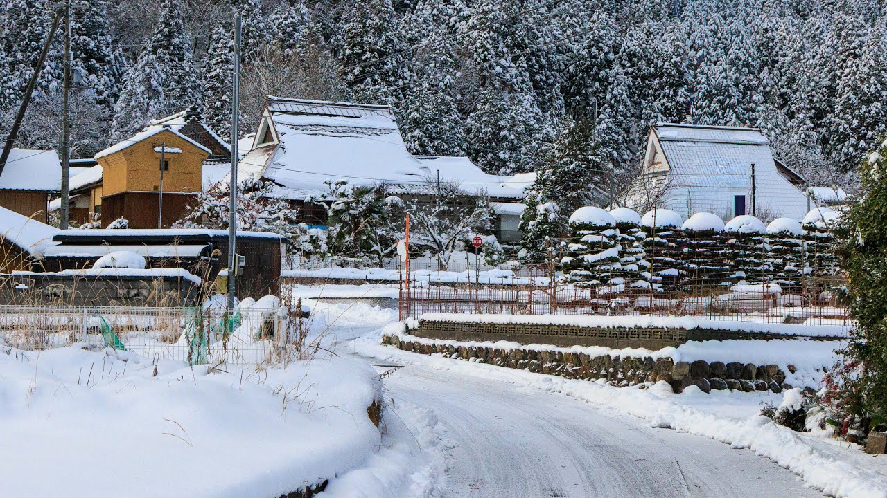 Sunny Walk in Small Mountain Village | Fukui, Japan
