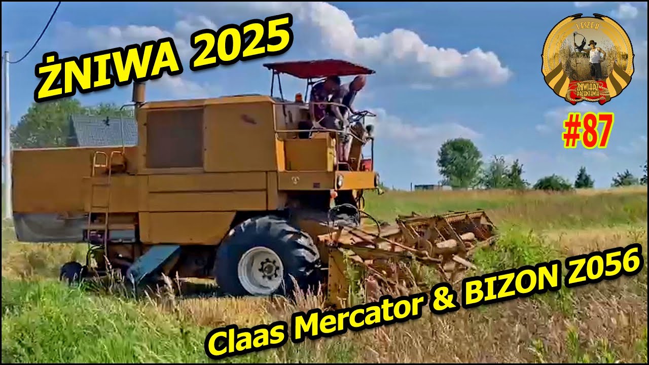 Żniwa 2025 -  Claas Merkator i Bizon Z056 gościnnie  (odc. 87)