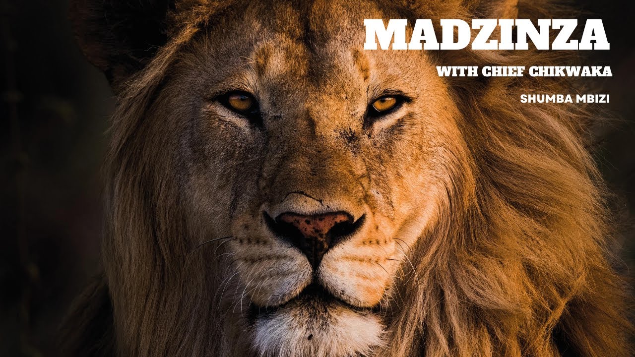 MADZINZA USENDO: Exploring Zimbabwean Customs- Episode 1