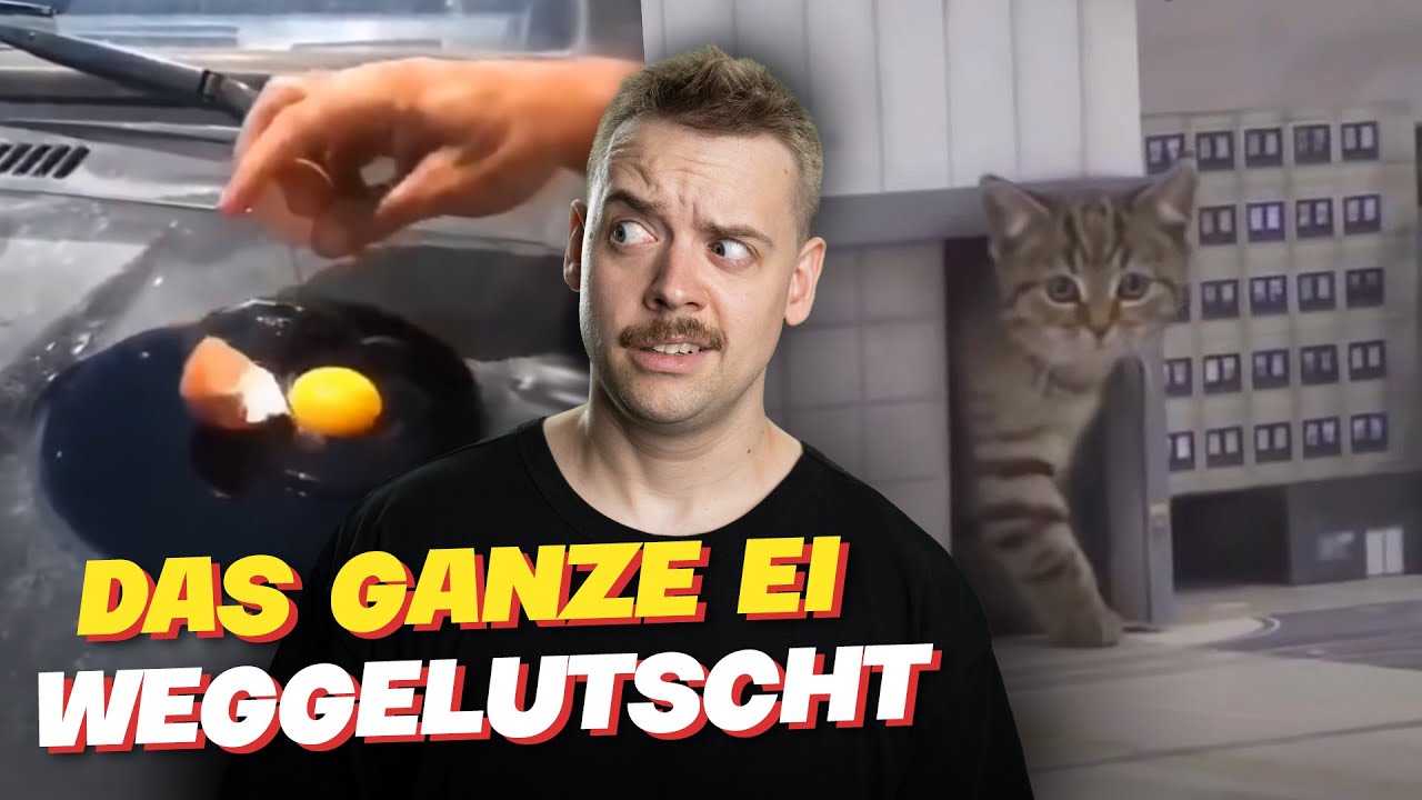 Das ganze Ei weggelutscht! Reaktion auf Gifs With Sound #236| Mix Select