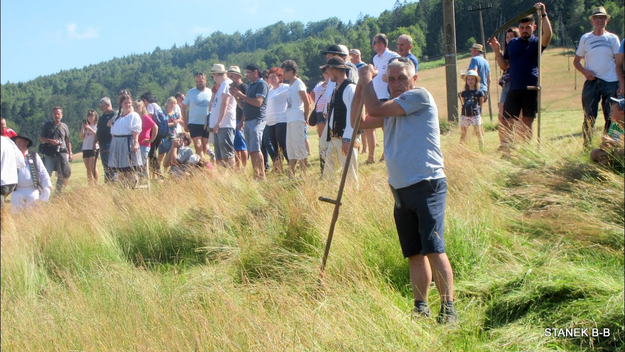 STANEK49 KOSZENIE ŁAKI KOSĄ /XV MISTRZOSTWA GÓRALI KARPACKICH/ BRENNA MALINKA "U GAZDY"10.07.2021
