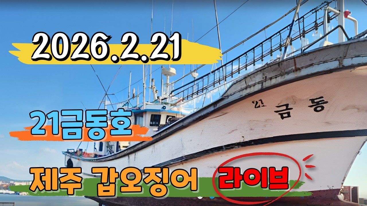 제주 갑오징어들아 내가 왔다!! 2부🤣🤣 #갑오징어 #금동호