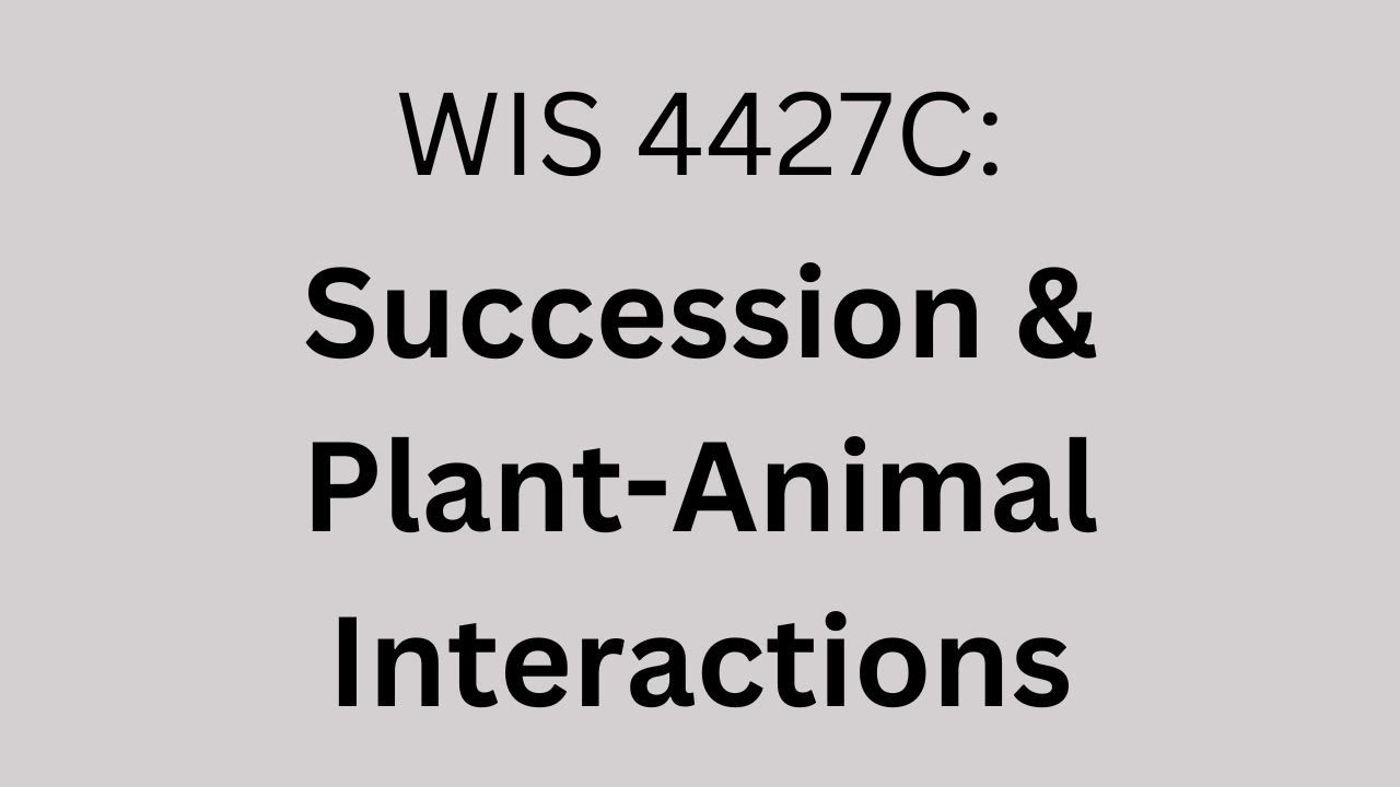 Succession and Plant-Animal Interactions