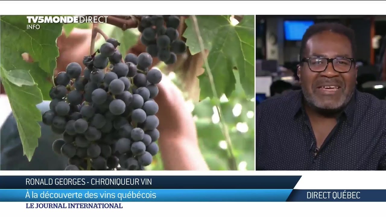&Agrave; la d&eacute;couverte des vins qu&eacute;b&eacute;cois [Direct Qu&eacute;bec]