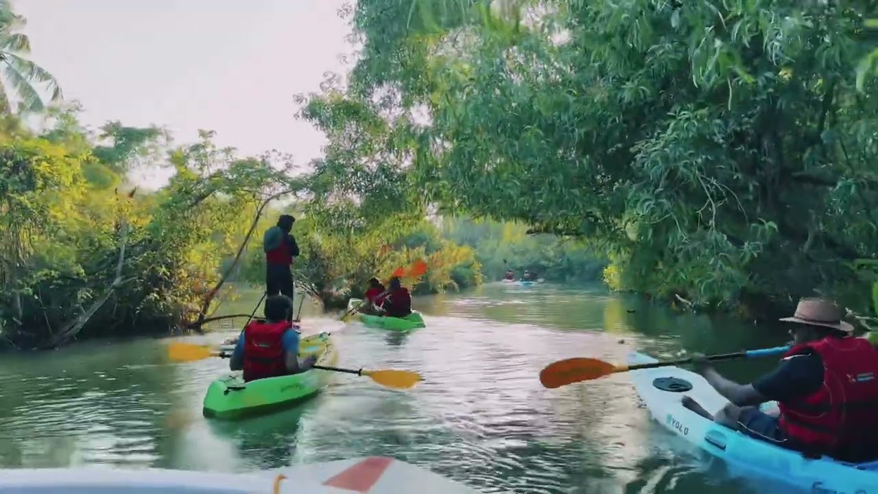 The beauty of kerala , Awsome ambiance Nice food variety of adventure sports like kayaking boating
