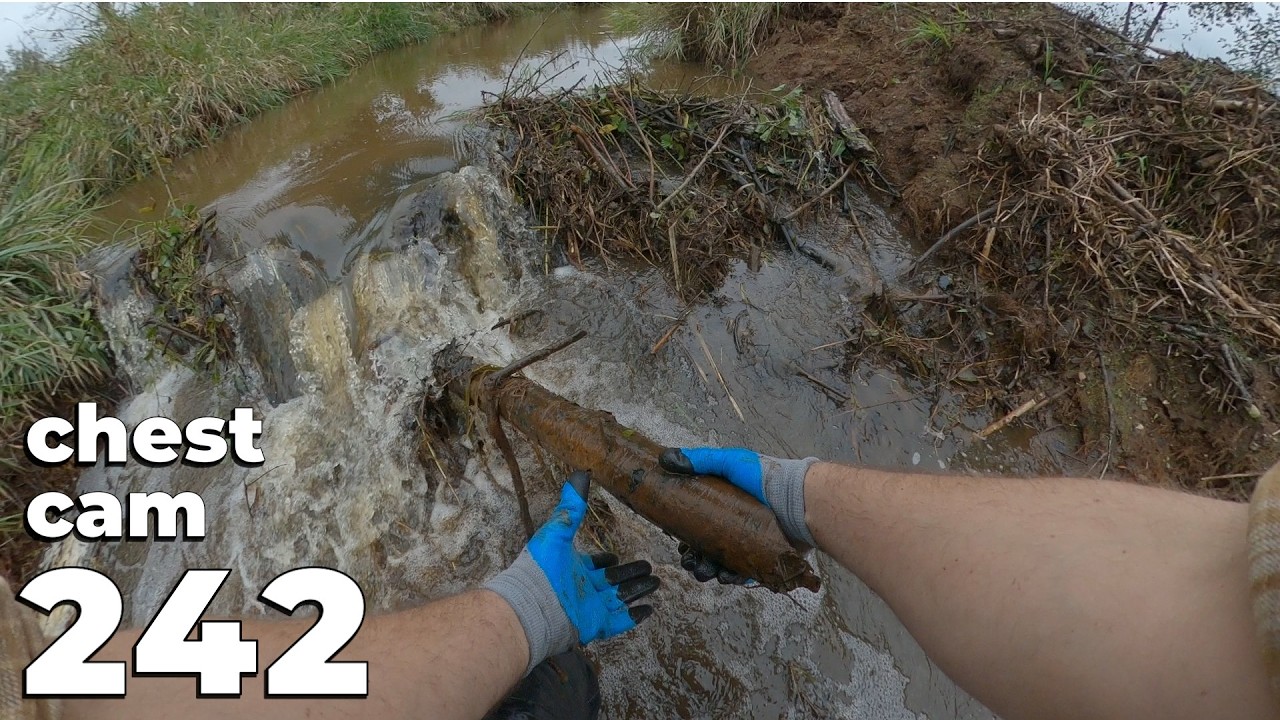 Manual Beaver Dam Removal No.242 - Chest Cam