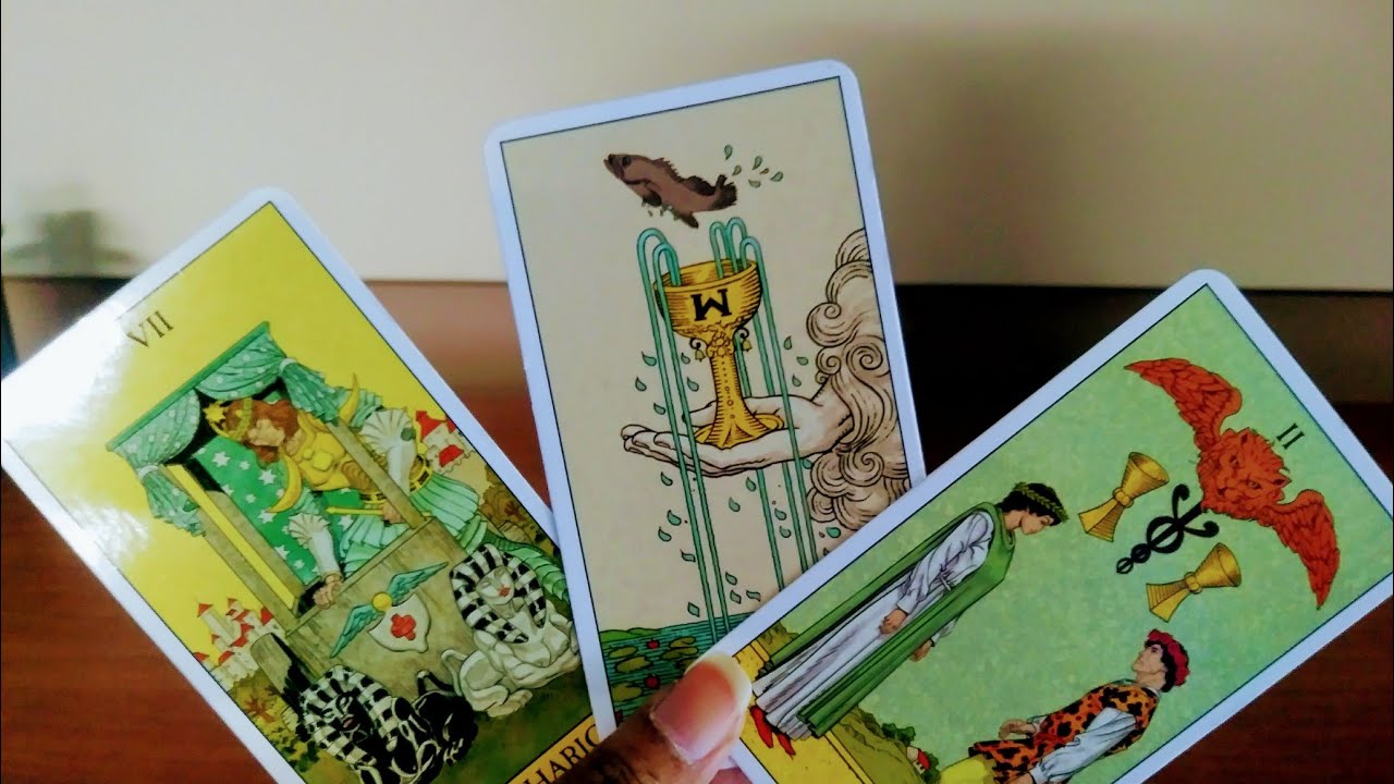 Virgo This Is Everything You've Ever Dreamed Of And More Welcome To Paradise
