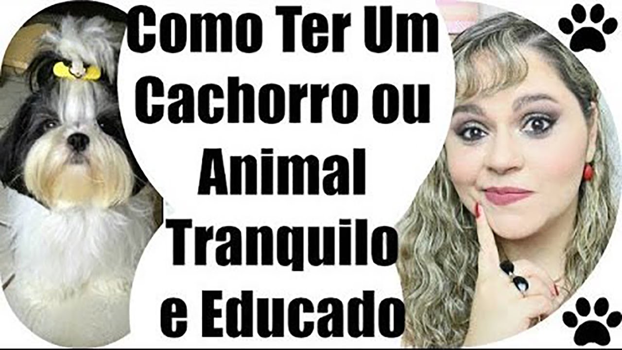 COMO TER Um CACHORRO e Animal Mais Calmo/TRANQUILO/Quieto e EDUCADO ● Lói Cúrcio