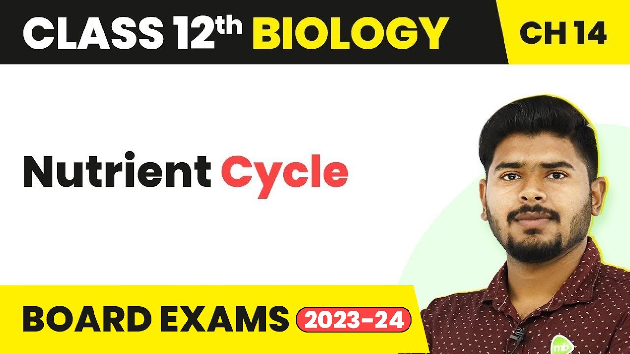 Class 12 Biology Chapter 14 | Nutrient Cycle - Ecosystem (2022-23)