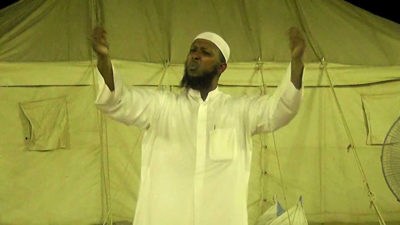 الموضوع : قصص وفوائد