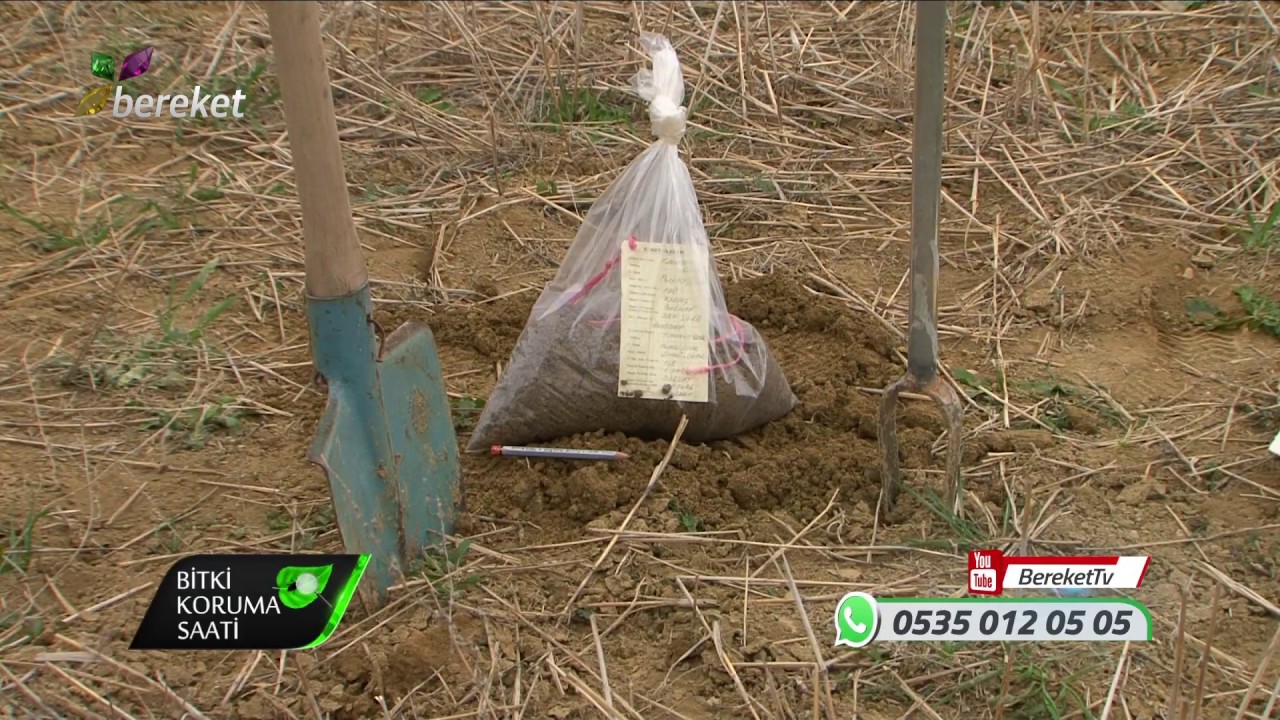 Bitki Koruma Saati - Toprak Tahlili ve Bitki Besleme